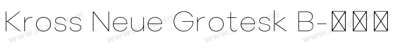 Kross Neue Grotesk B字体转换